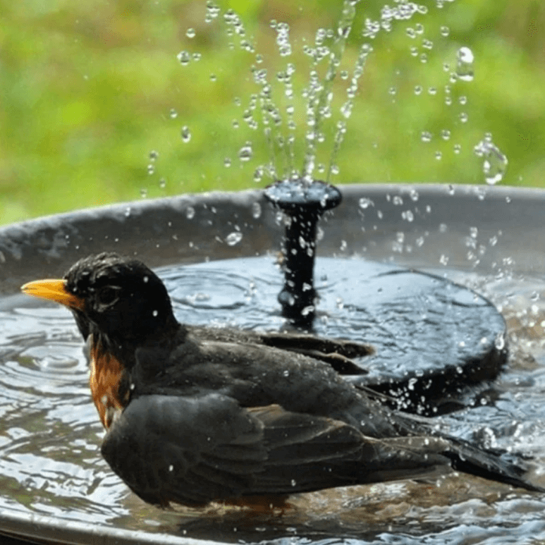 LED Solar Energy Fountain