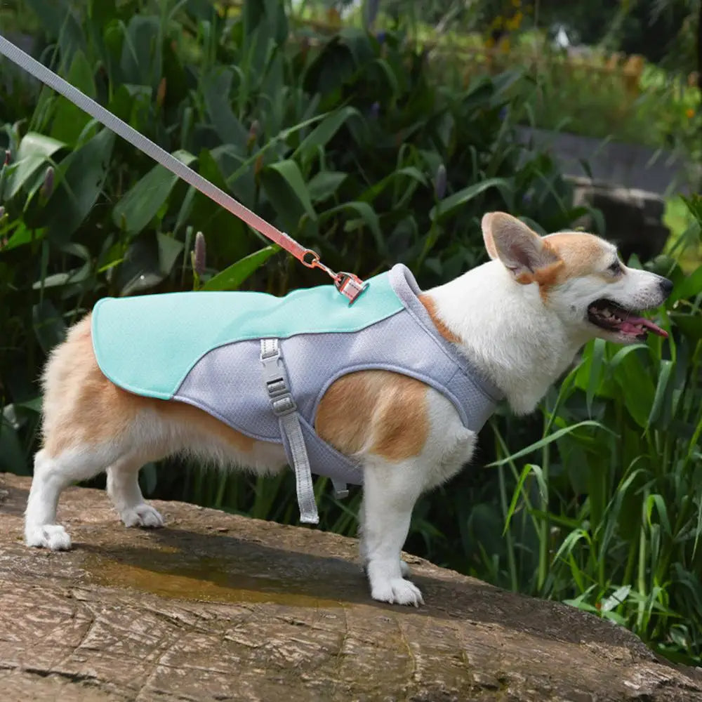 Dog Cooling Vest for Outdoor Activities