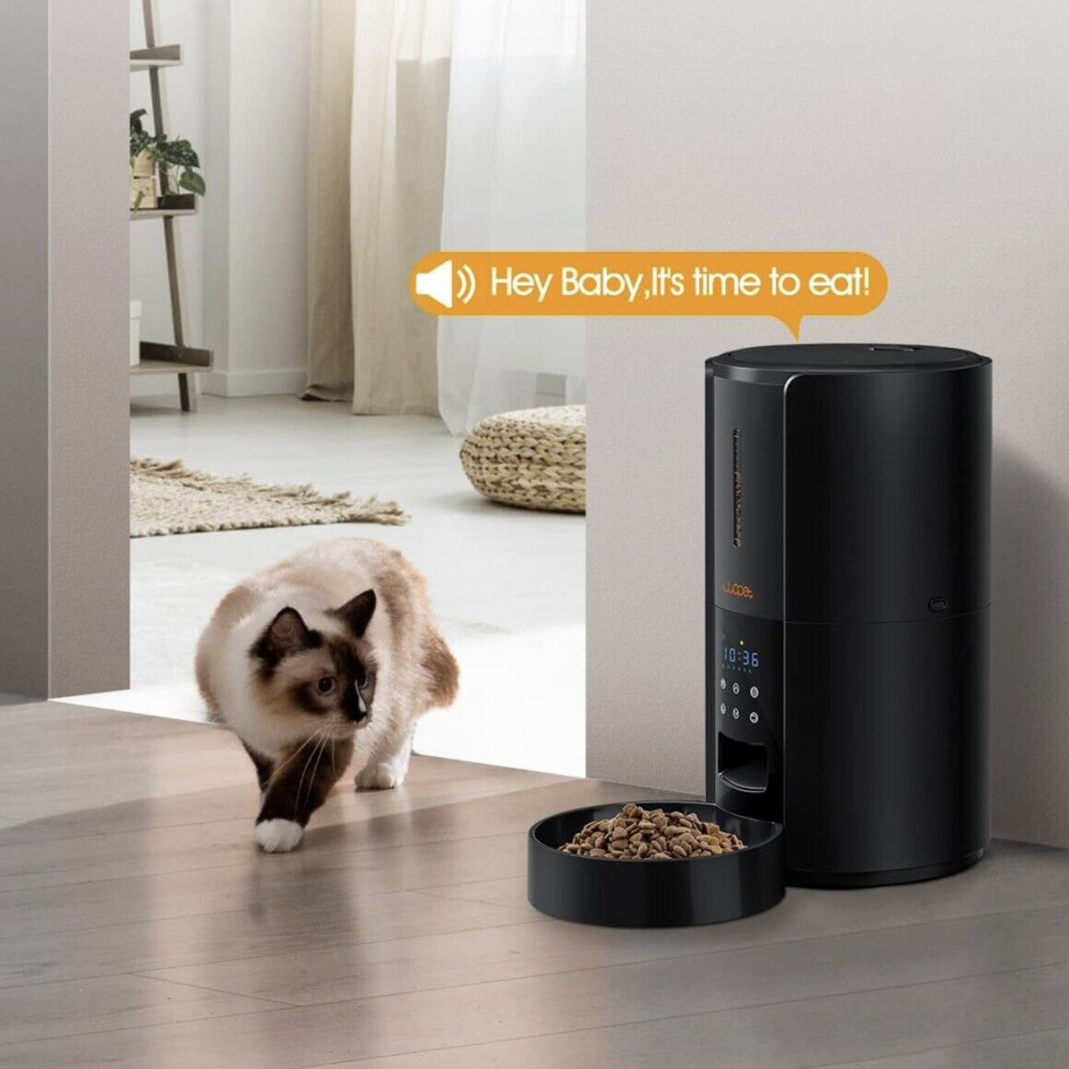 Large Automatic Dog Cat Time Pet Food Feeder Dispenser