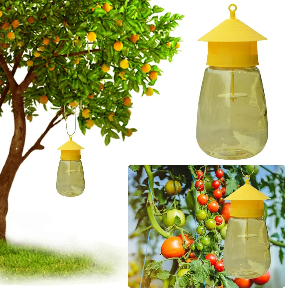 Hanging Fruit Fly Trap