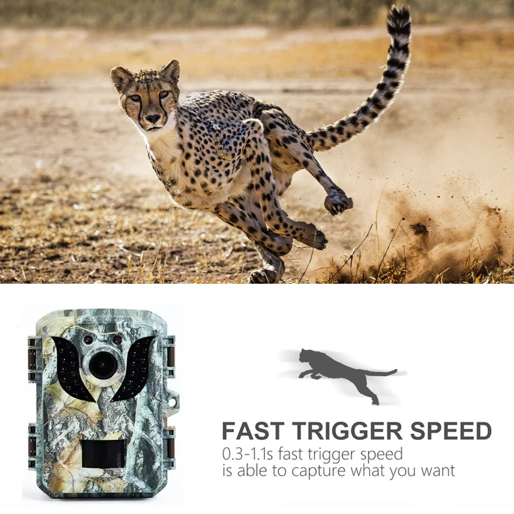 Compact Wildlife Camera with HD Infrared Night Vision