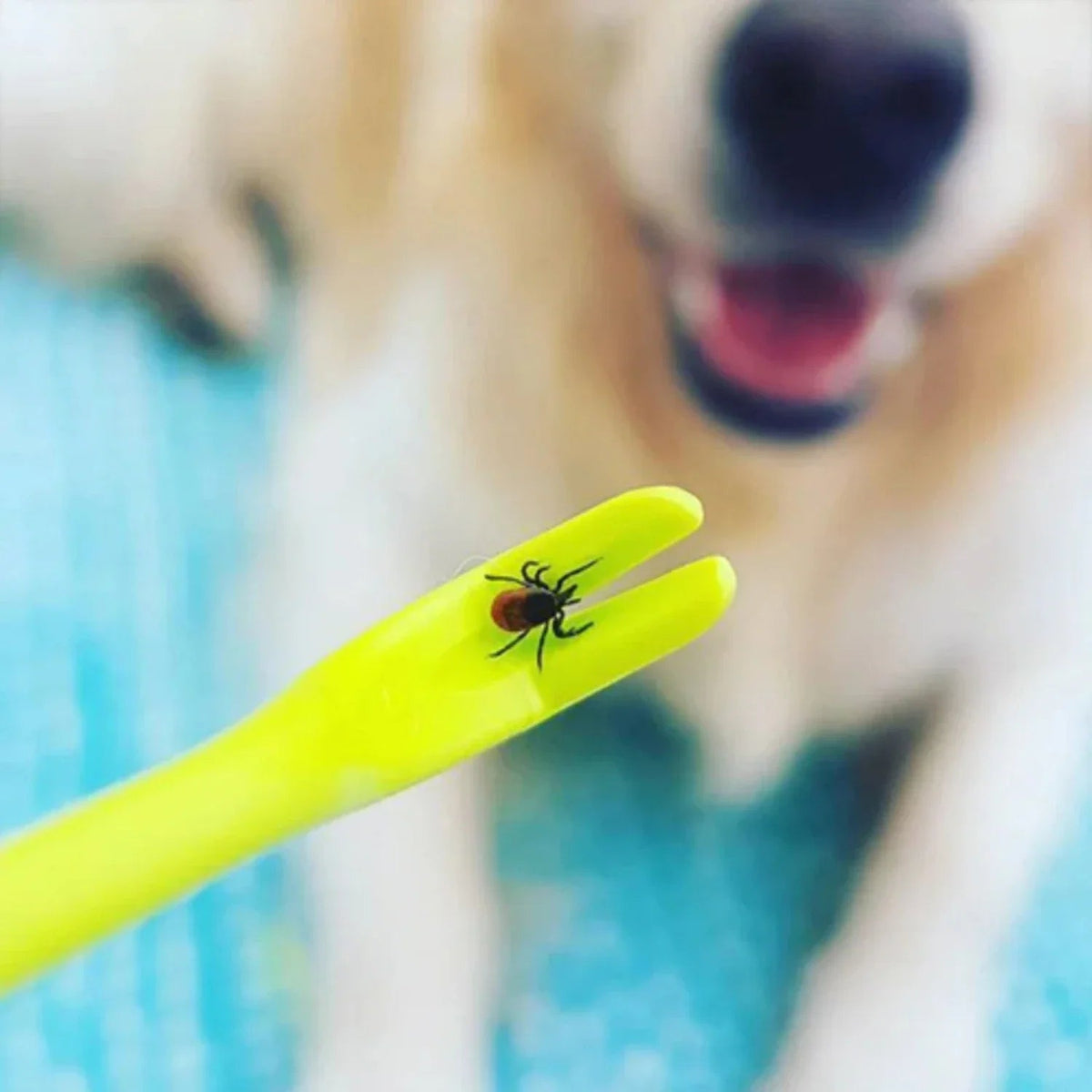 Tick Removal Device for Dogs and Pets