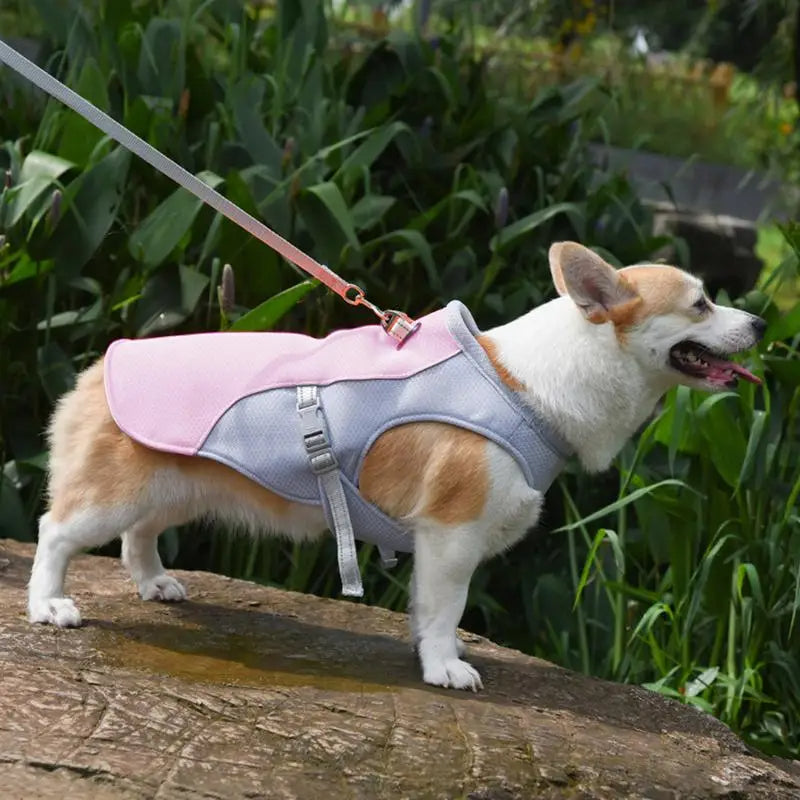 Dog Cooling Vest for Outdoor Activities