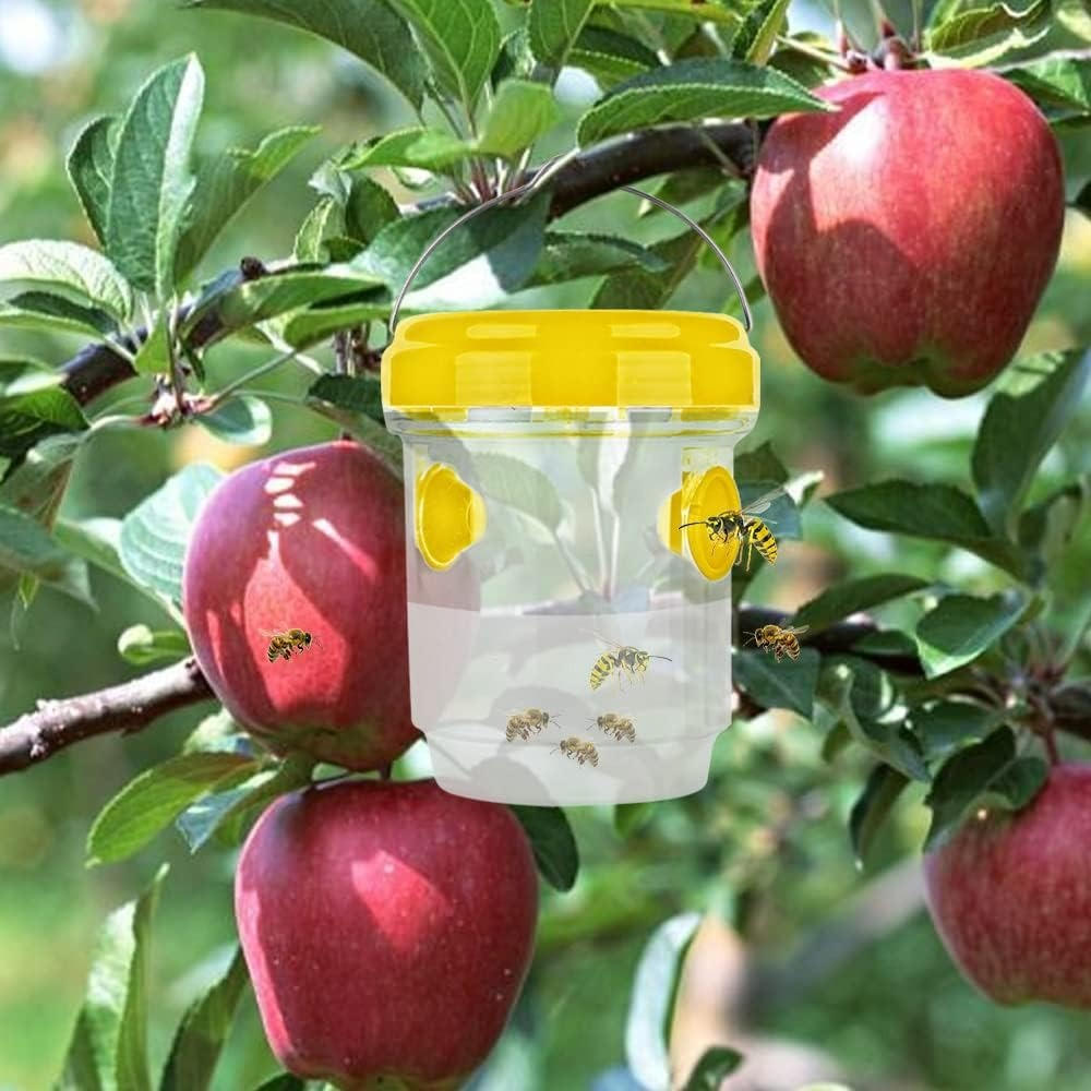 Insect Fruit Fly Traps