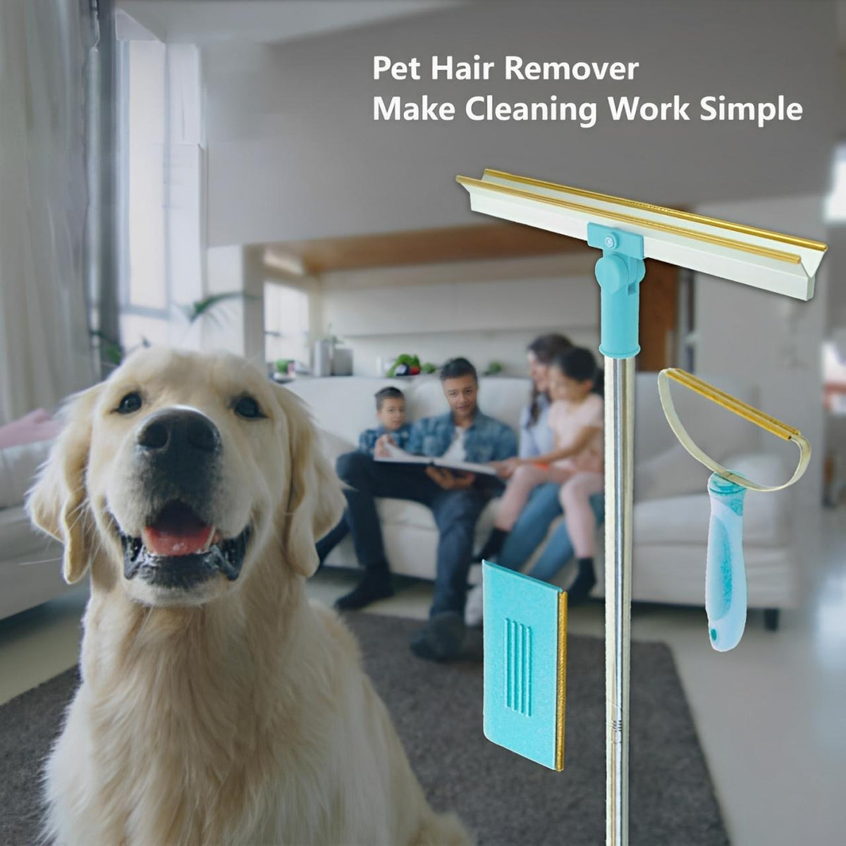 Pet Hair Remover Set