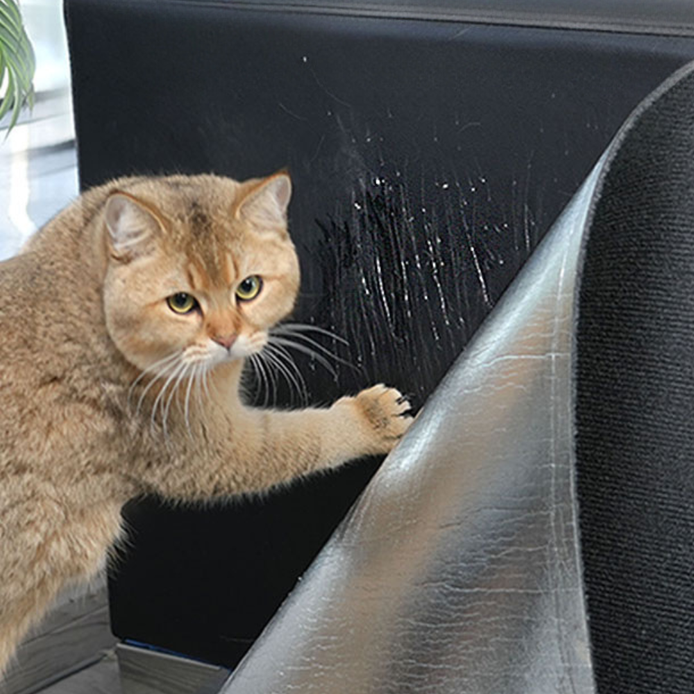 Cat Scratch Couch Guard Protector Carpet Mat