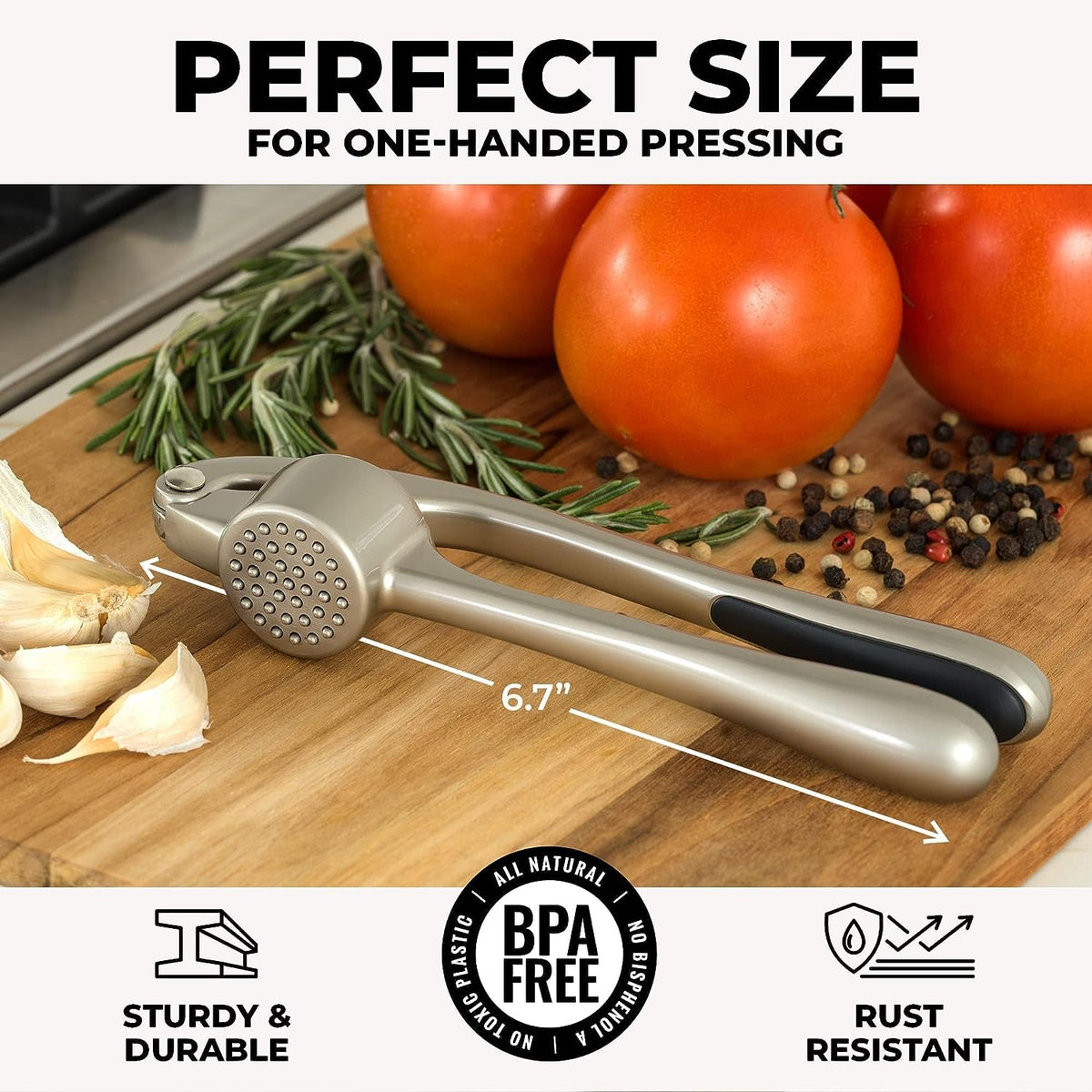 Garlic Press Mincer