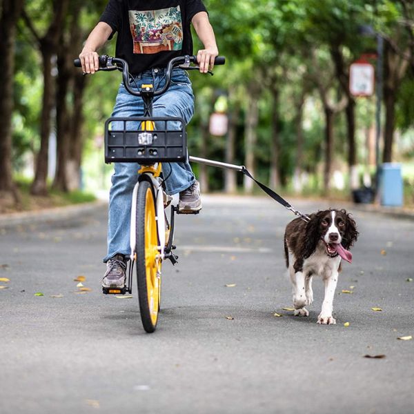 Dog Bike Harness