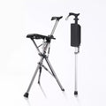 Walking stick with seat