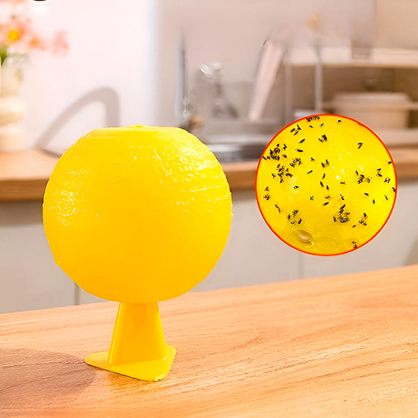 Hanging Fly Trap with Adhesive Layer (6 Pcs)