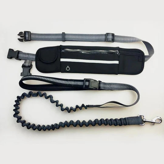 Leash with waist belt for dogs
