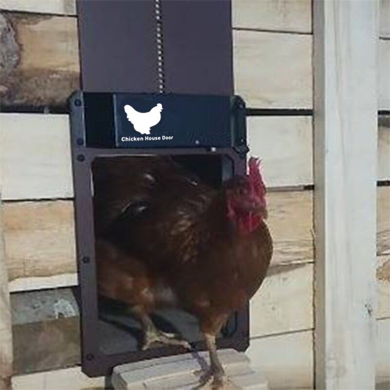 Automatic Chicken Coop Door Opener - Chicken Coop With Light Sensor