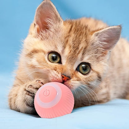 Interactive play ball for cats