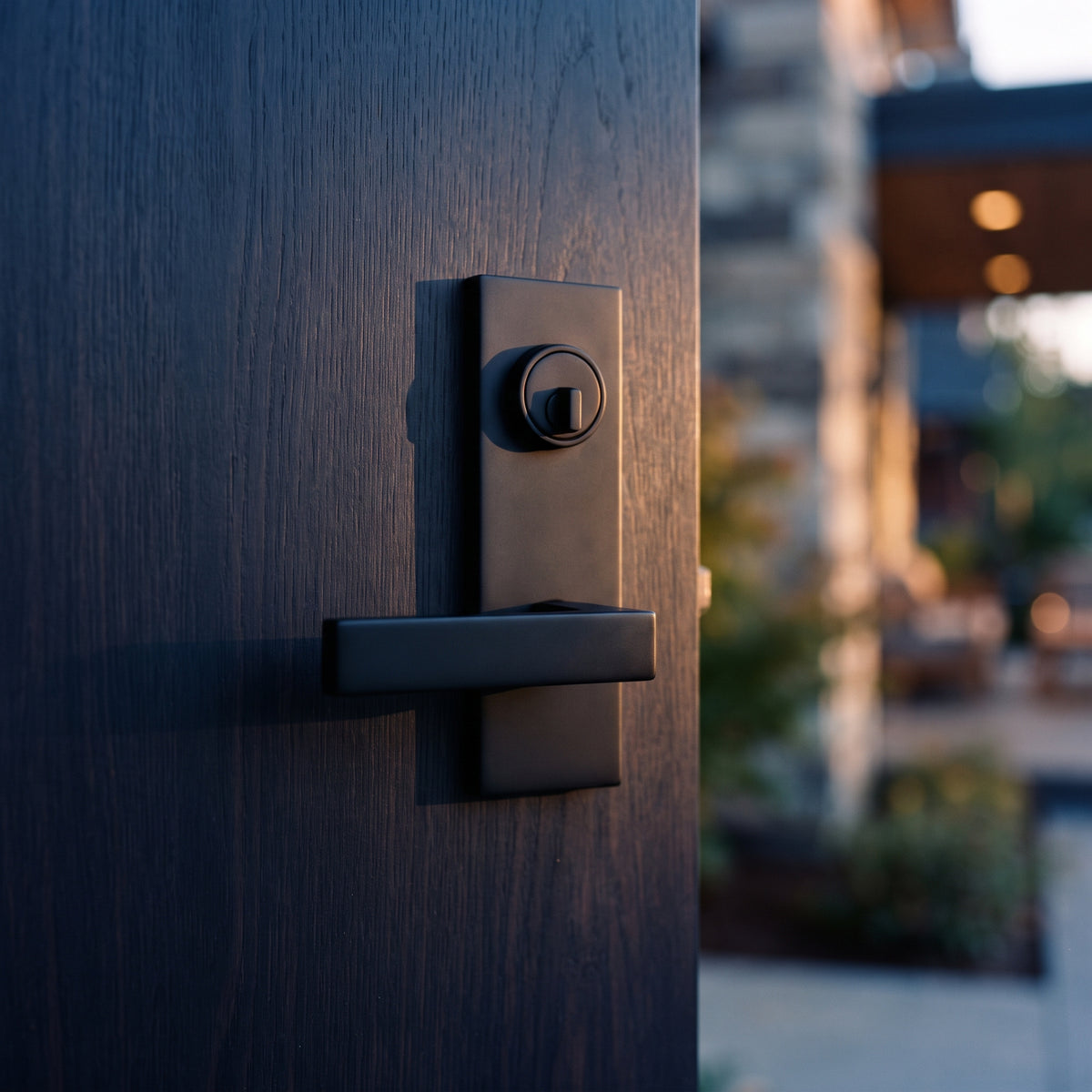 Modern door handle and lock on a dark wooden front door