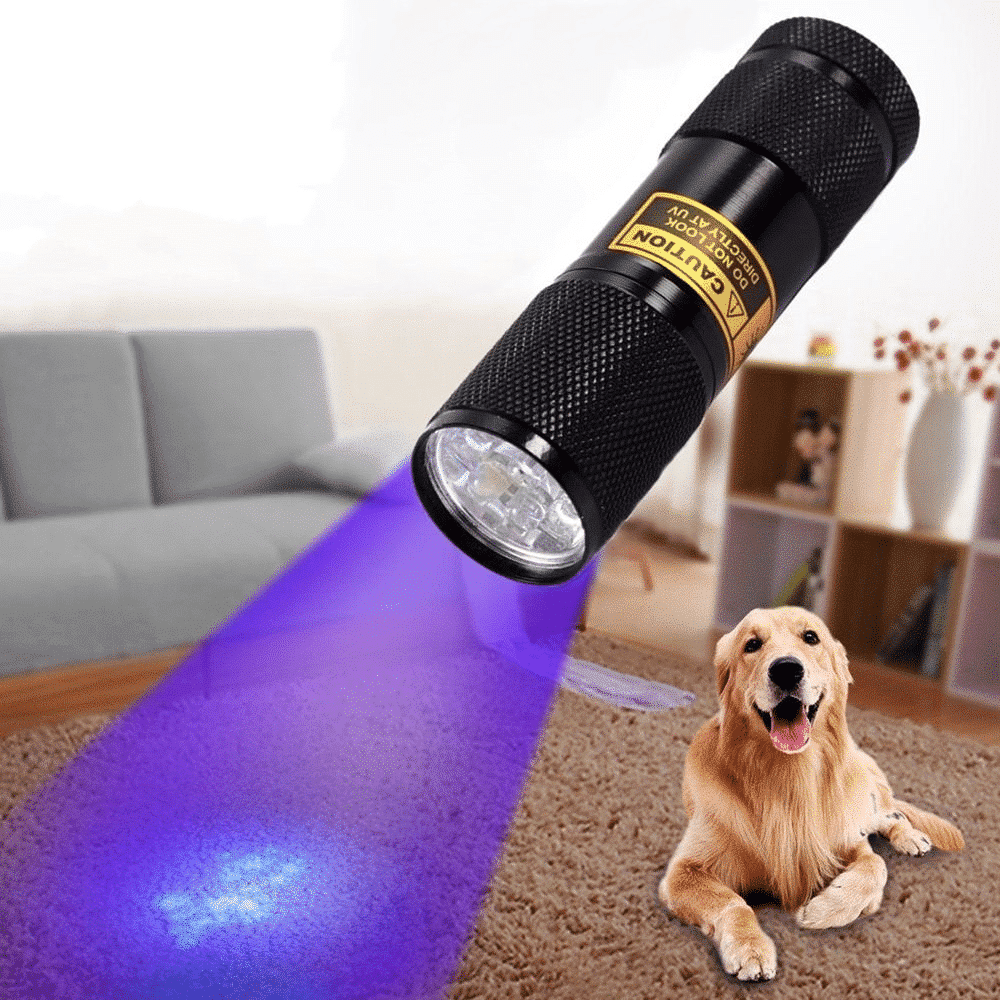Powerful 21 LED pocket UV lamp