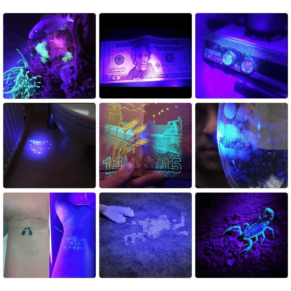 Powerful 21 LED pocket UV lamp