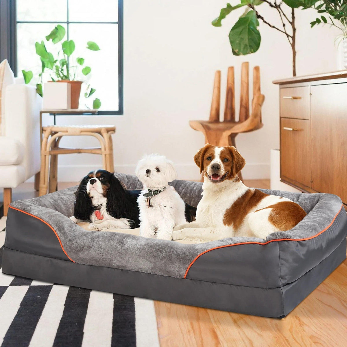 Orthopedic Dog Bed