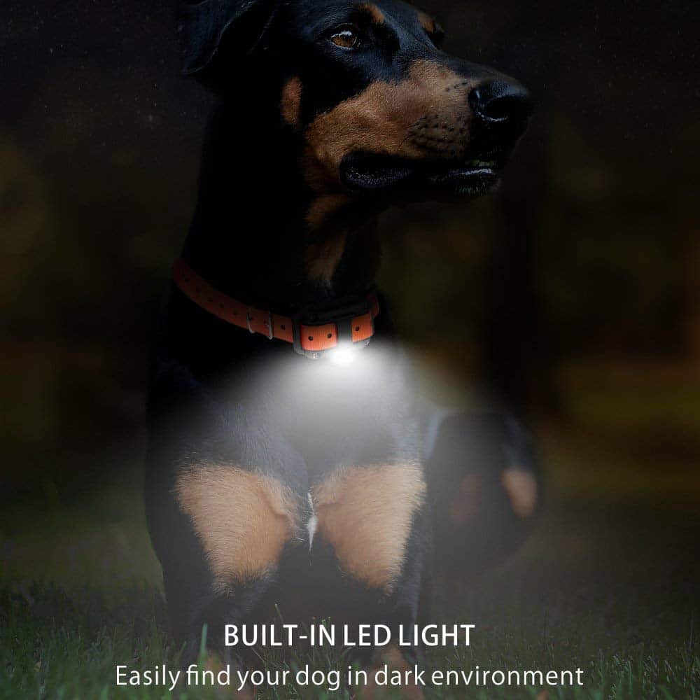 Electric dog training collar 800M Range