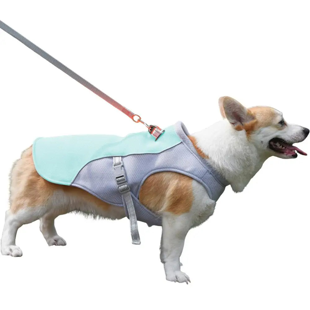 Dog Cooling Vest for Outdoor Activities