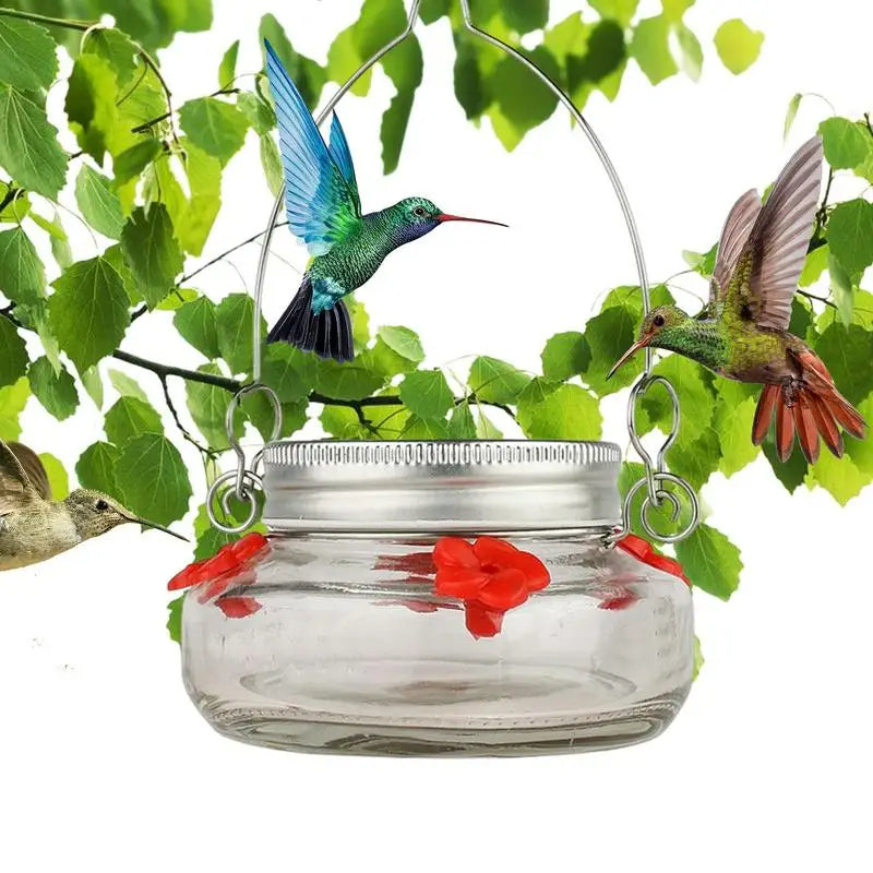 Clear Flower Port Hummingbird Feeder