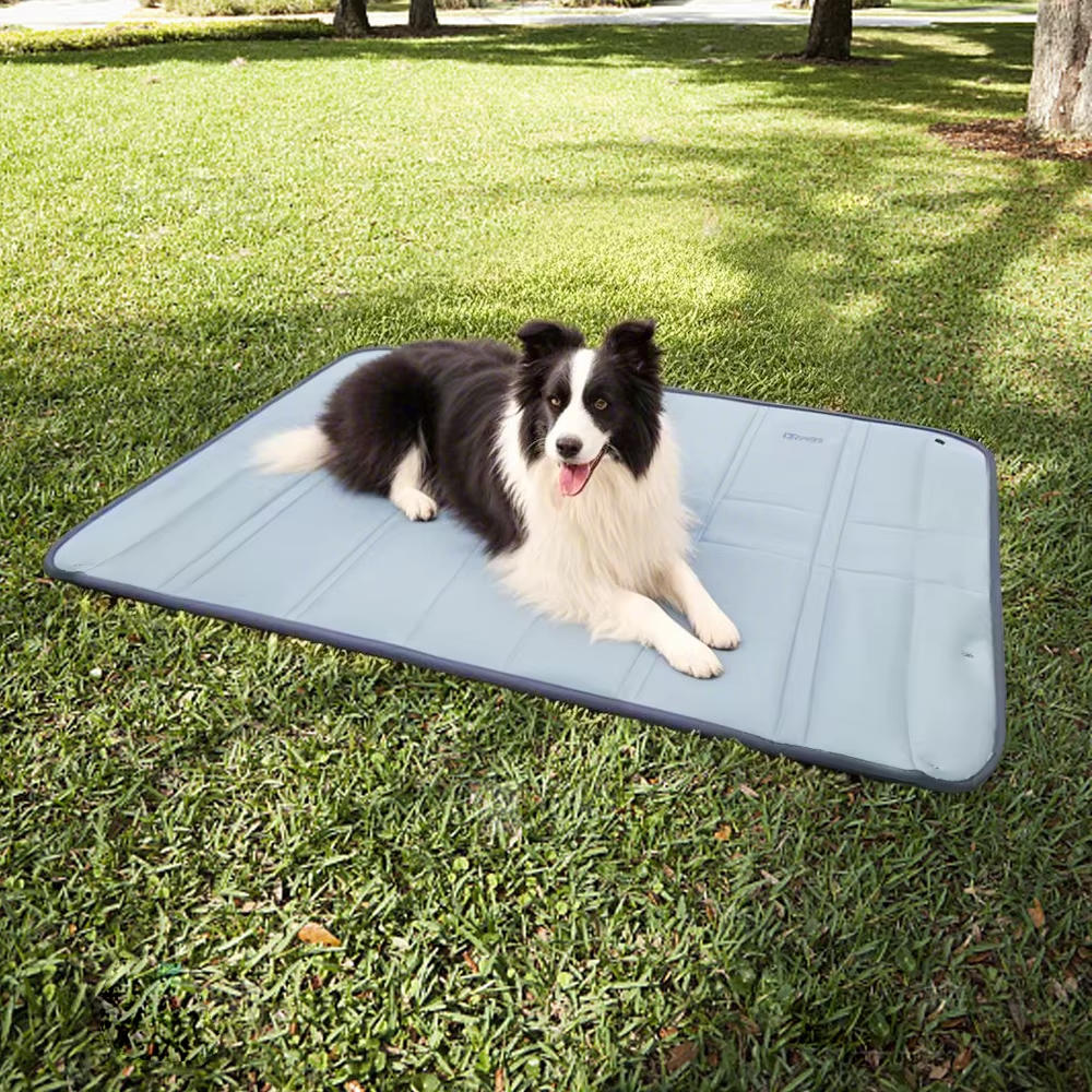 Dog Bag for Travel