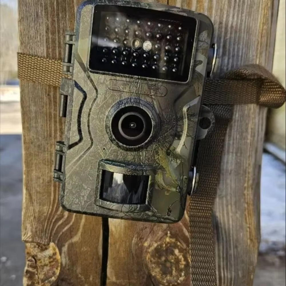 Night Vision Outdoor Wildlife Animal Camera