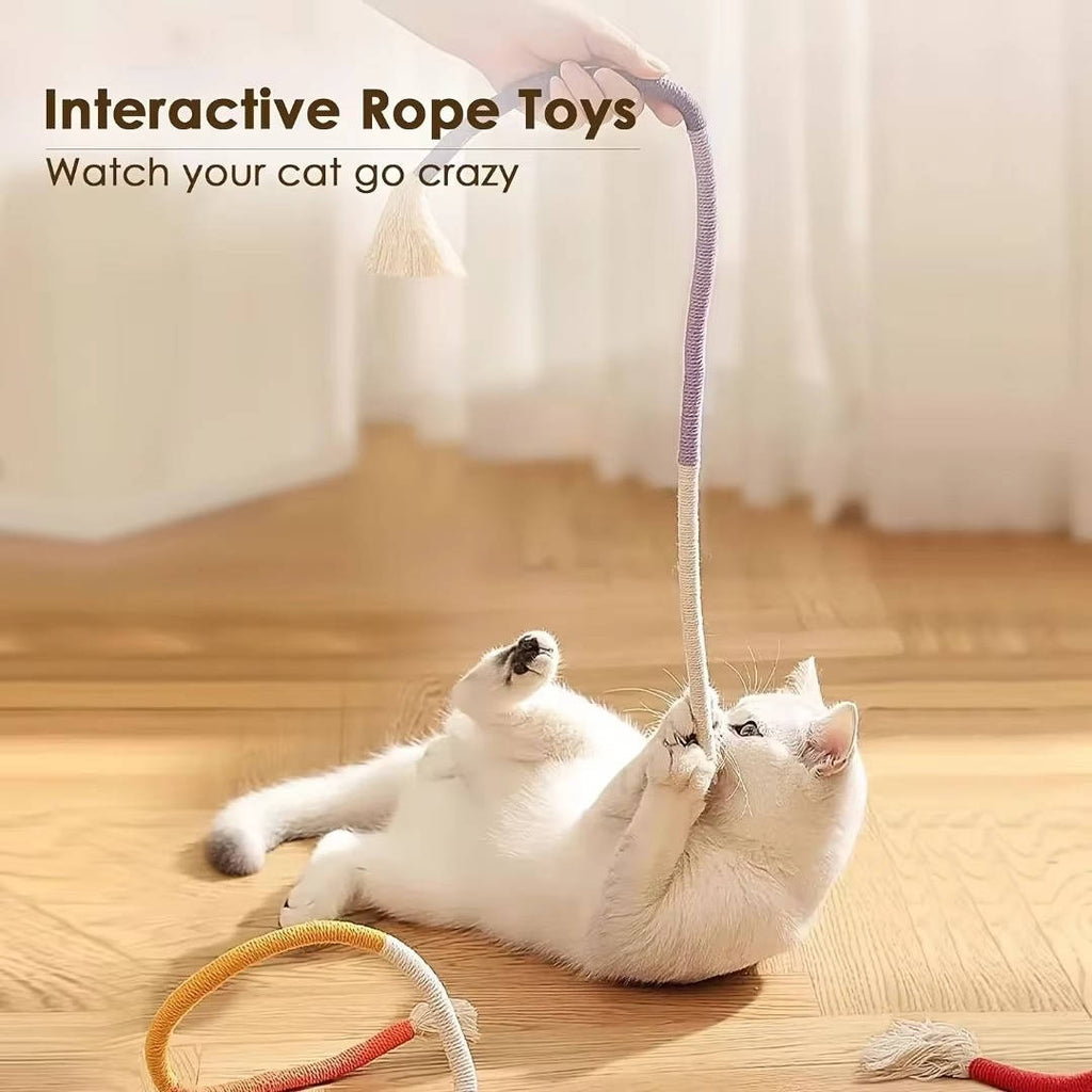 Cat Chew Toys