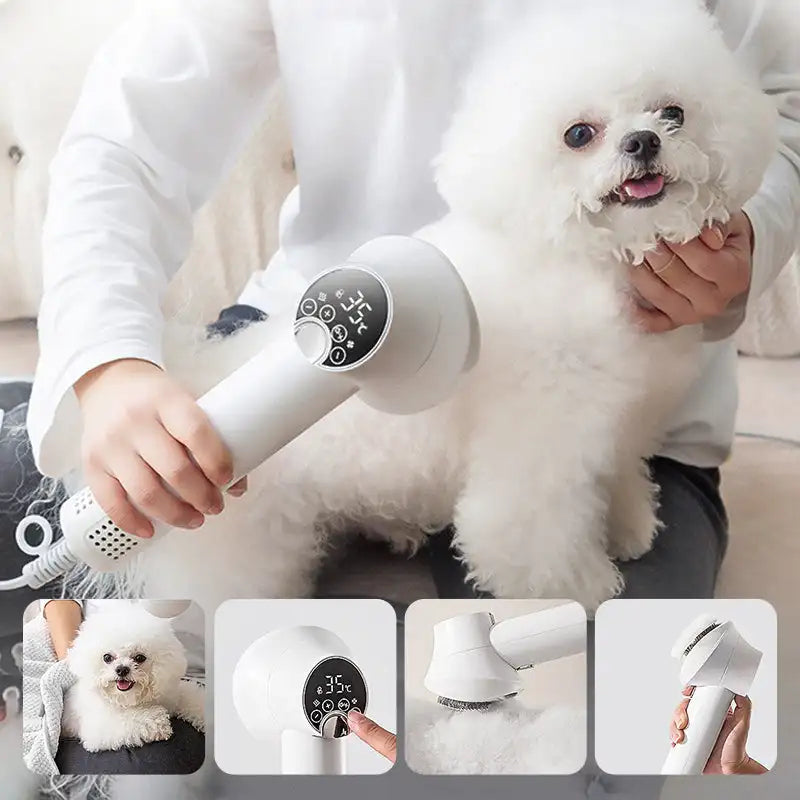 2 in 1 Smart Dog Hair Dryer