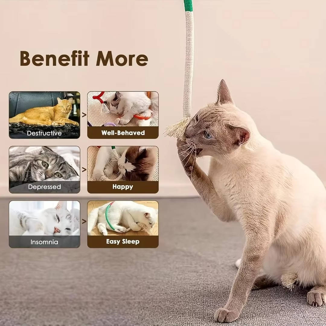 Cat Chew Toys