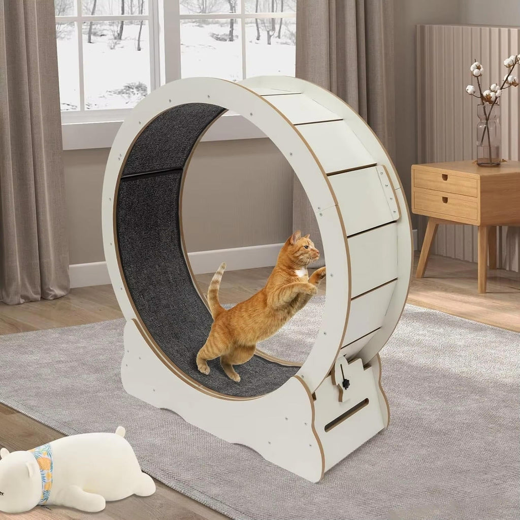 Cat Exercise Wheel