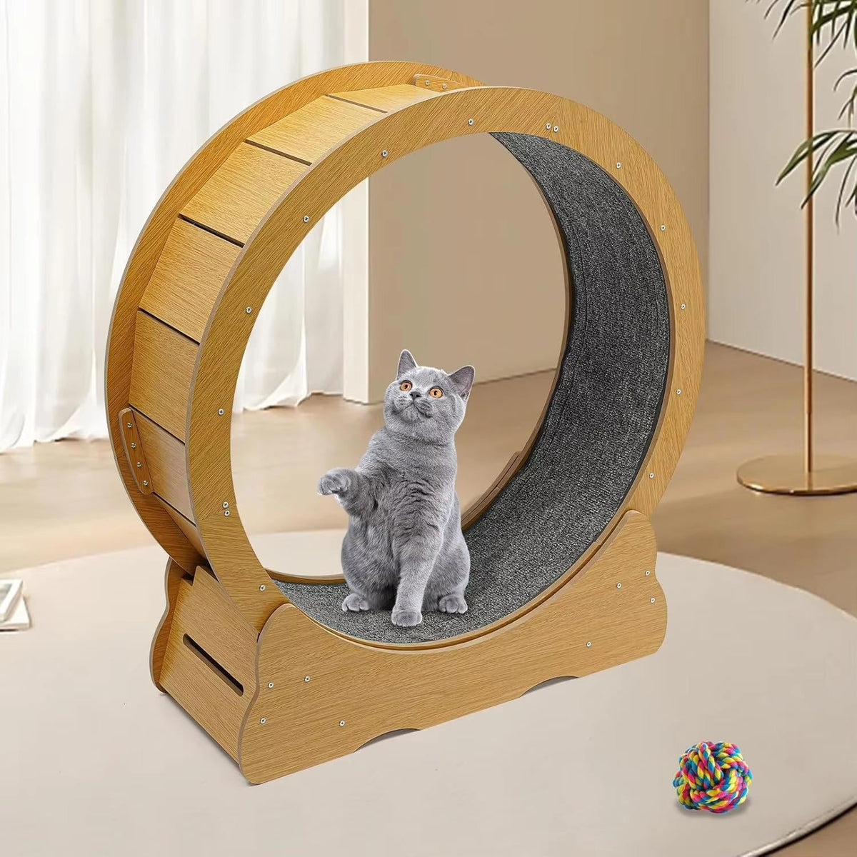 Cat Exercise Wheel