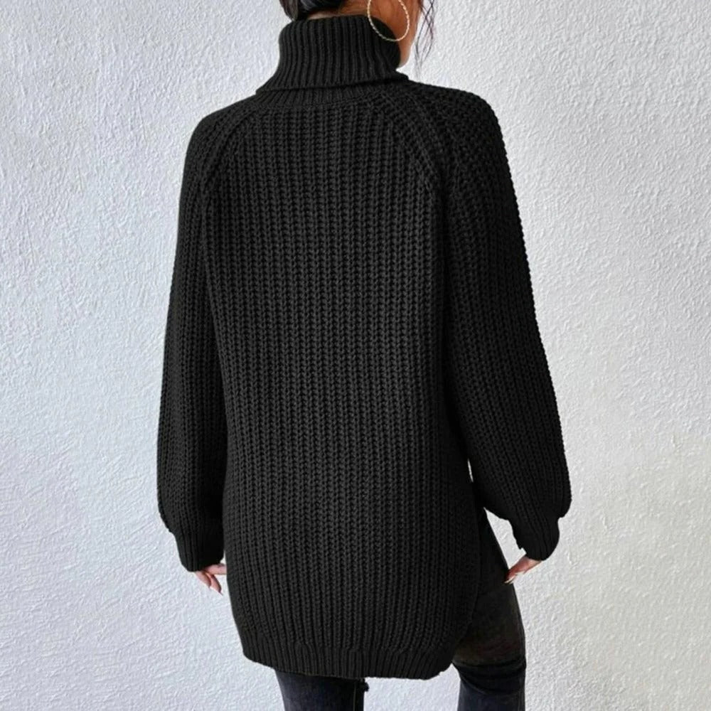 Turtleneck Sweater