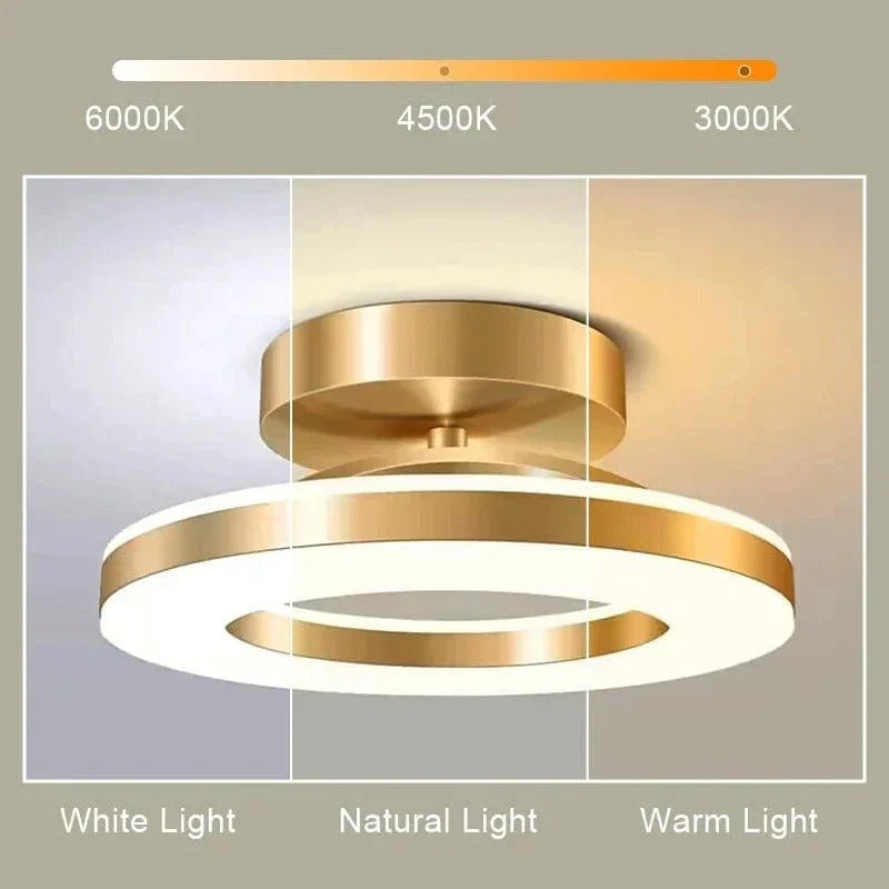LED Ceiling Light Fixture