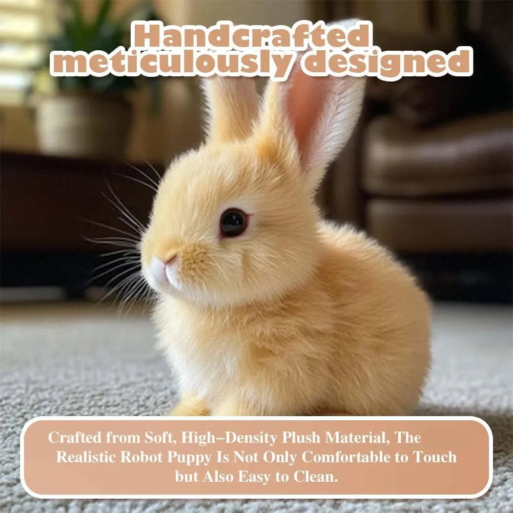 Bunny Toy