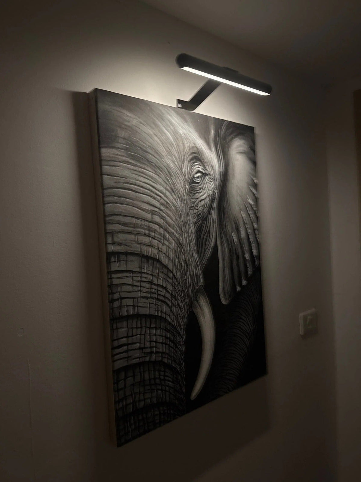 Wireless LED Picture Light