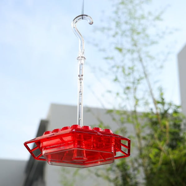 Hummingbird Feeder With Built-In Ant Moat