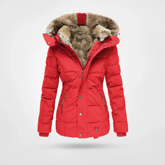 Warm fashionable winter jacket with lining and hood