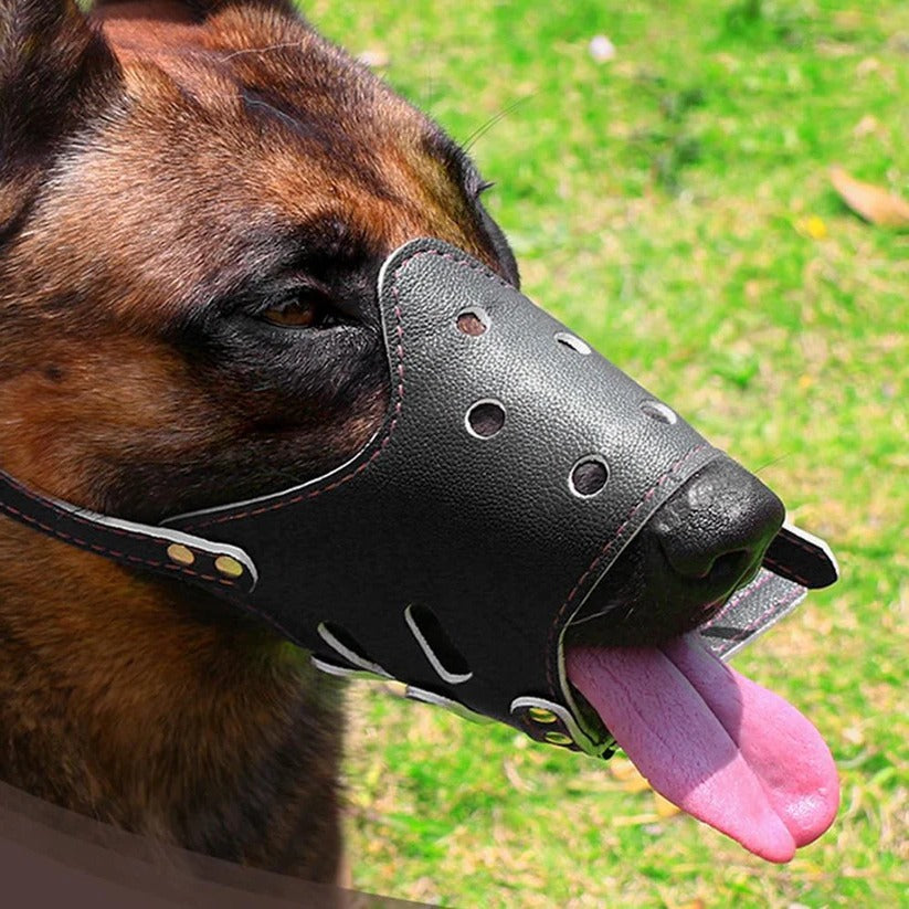 Breathable Dog Biting Muzzle Mouth Guard