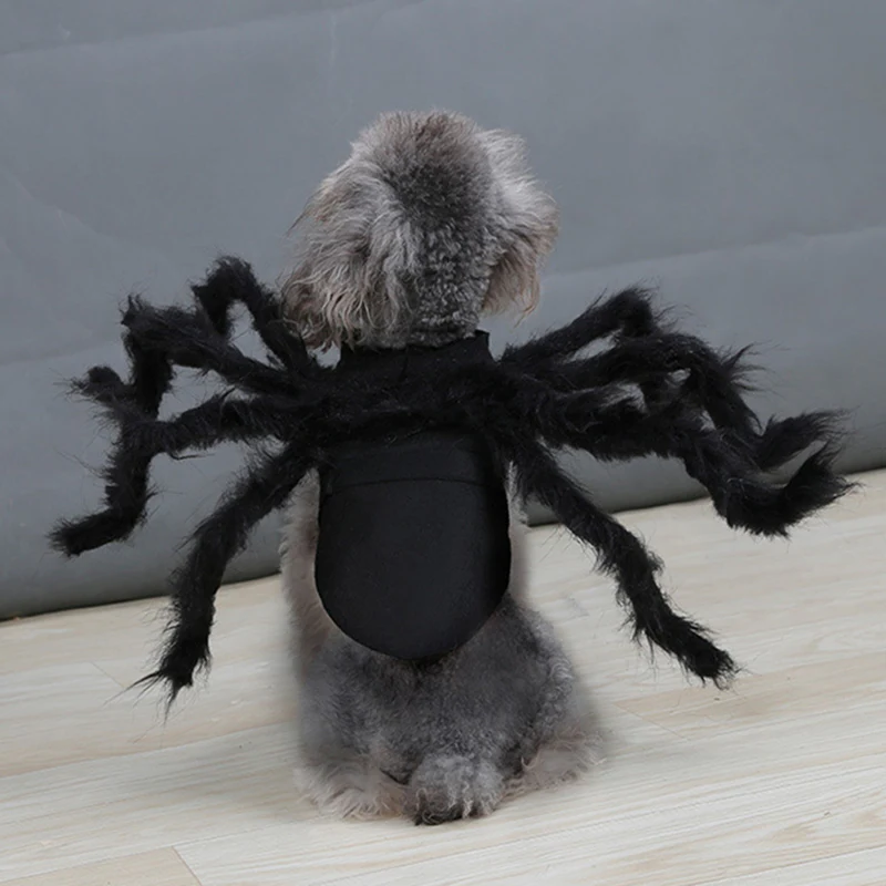 Pet Funny Spider Costume