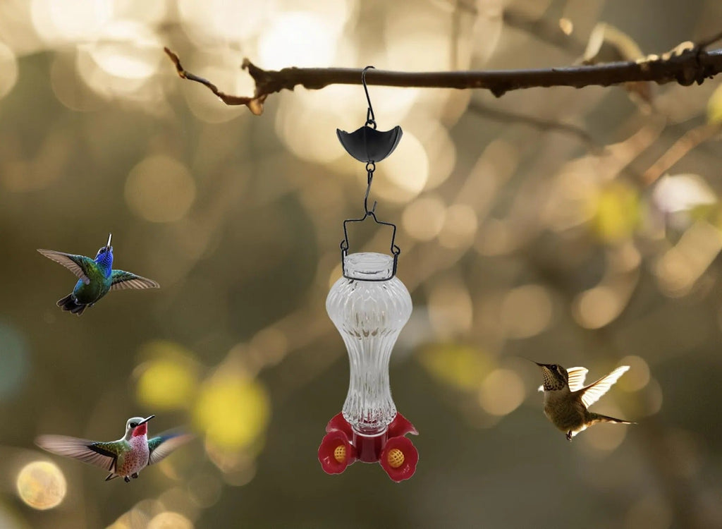 Flowers Glass Hummingbird Feeder With Ant Moat