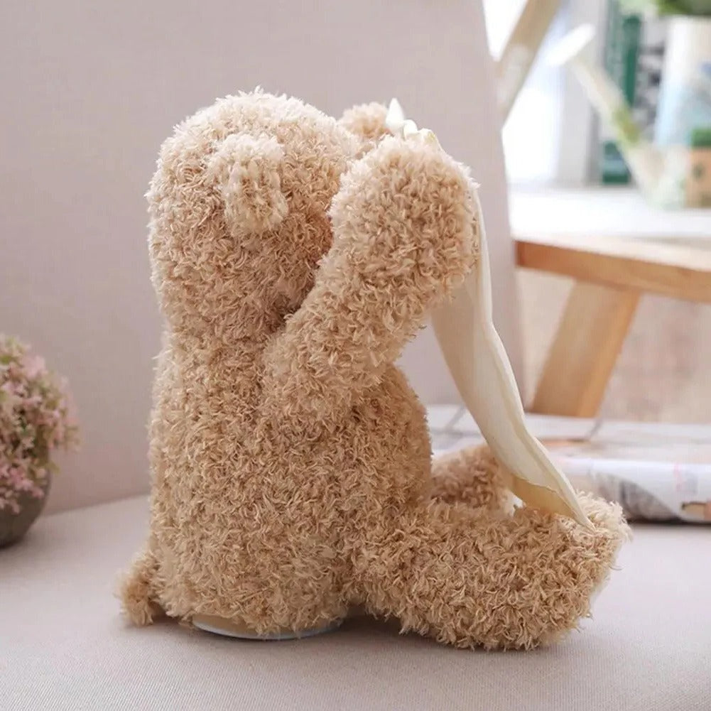 Peek-A-Boo-Teddy - Interactive Plush Toy