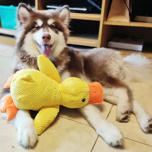 Calming Duck Dog Toy
