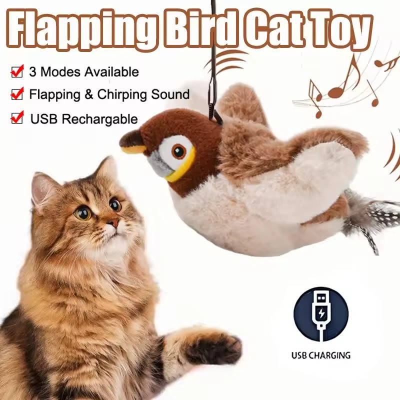 Interactive Cat Chase Toys