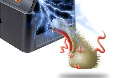Electric Mouse Trap