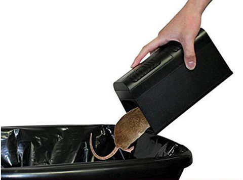 Electric Mouse Trap