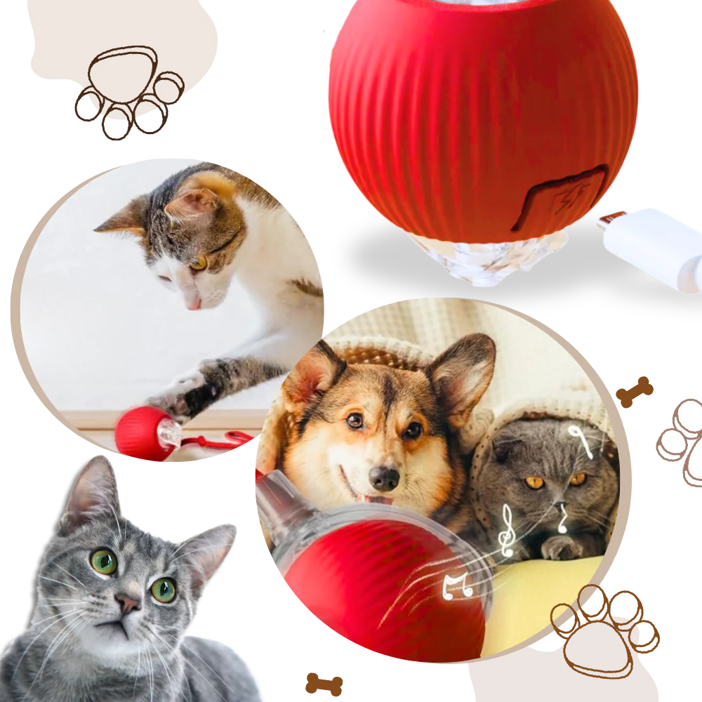 Smart Interactive Cats Ball Toy