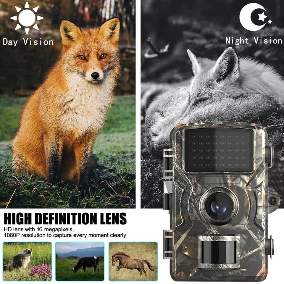 Night Vision Outdoor Wildlife Animal Camera