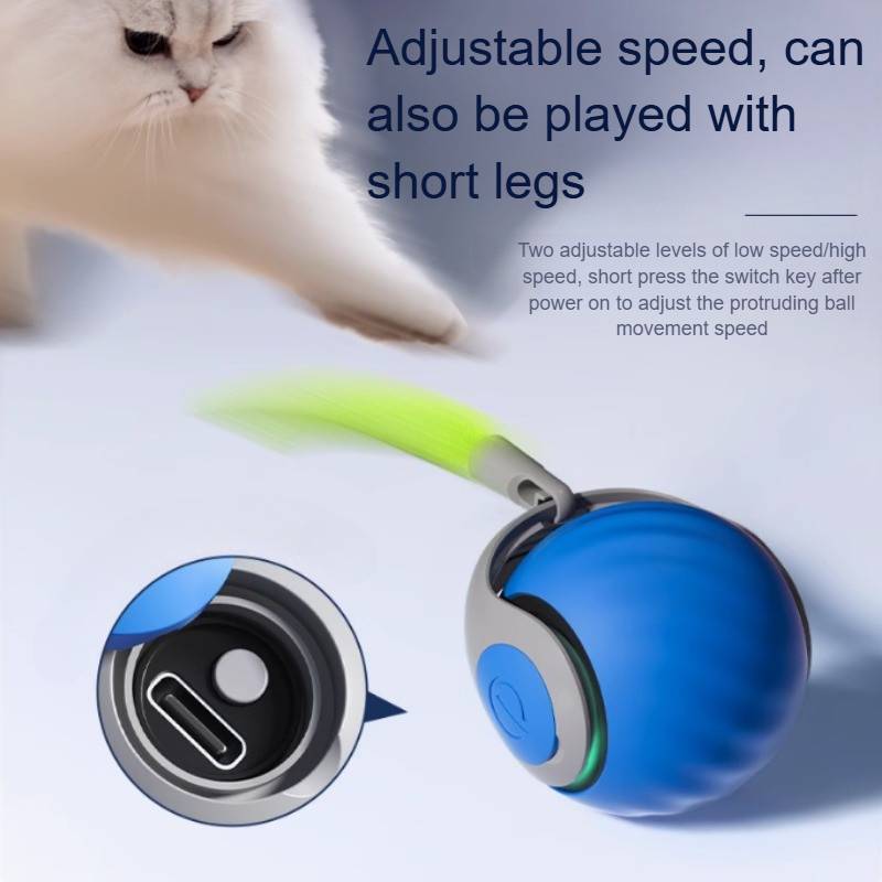 Interactive Cat Toys For Indoor Cats